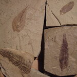 Article teaser image