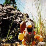 Article teaser image