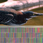 Article teaser image