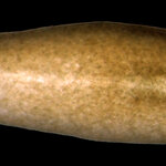 Article teaser image