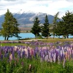 Article teaser image