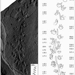 Article teaser image