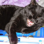 Article teaser image