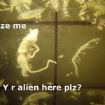 Article teaser image