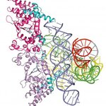 Article teaser image