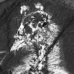 Article teaser image