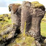 Article teaser image