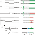 Article teaser image