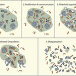 Article teaser image