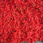 Article teaser image