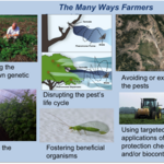 Article teaser image