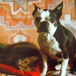 Article teaser image