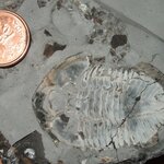 Article teaser image