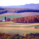 Article teaser image