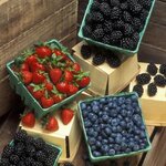 Article teaser image