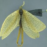 Article teaser image