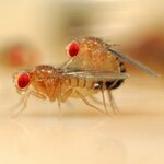 Article teaser image