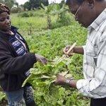 Article teaser image