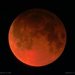 Article teaser image