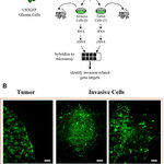 Article teaser image