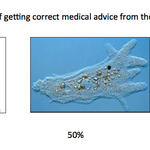 Article teaser image