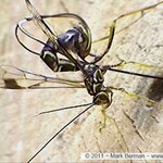 Article teaser image