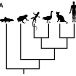 Article teaser image