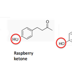 Article teaser image