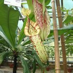 Article teaser image