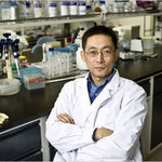 Article teaser image