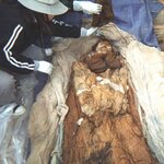 Article teaser image