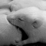 Article teaser image