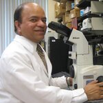 Article teaser image