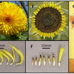 Article teaser image