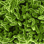 Article teaser image