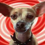 Article teaser image