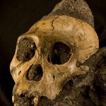 Article teaser image