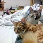 Article teaser image