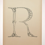 Article teaser image