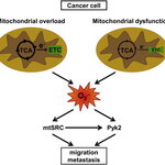 Article teaser image