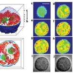 Article teaser image