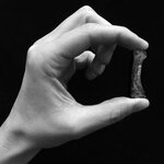 Article teaser image