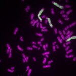 Article teaser image