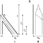 Article teaser image