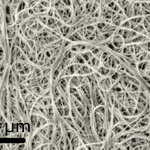 Article teaser image