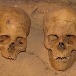 Article teaser image