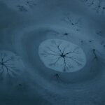 Article teaser image