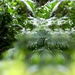 Article teaser image