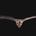 Article teaser image