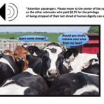 Article teaser image